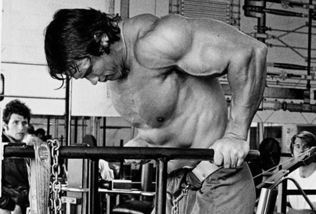 Arnold Schwarzenegger Bodybuilding Workout Routine And Diet Plan