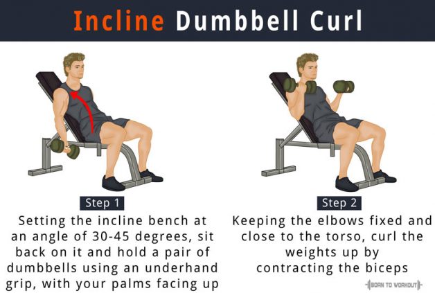 Incline Dumbbell Curl | Born to Workout | Born to Workout