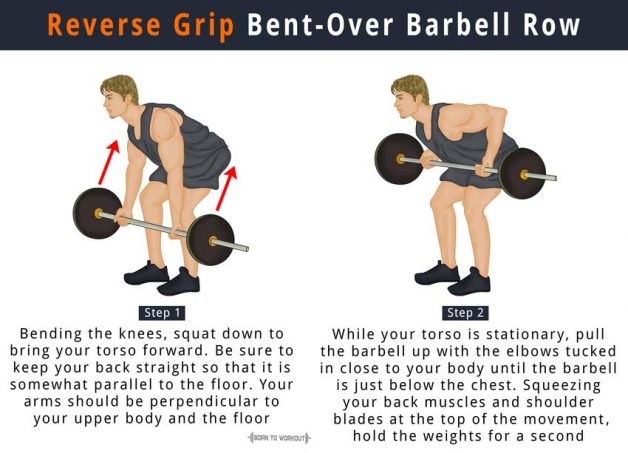 Reverse Grip Bent Over Barbell Row | Born to Workout | Born to Workout