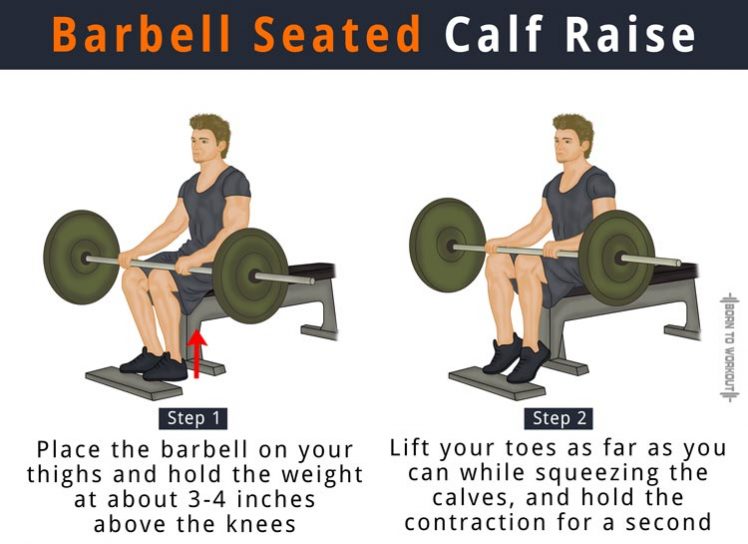 Barbell Seated Calf Raise | Born To Workout | Born To Workout