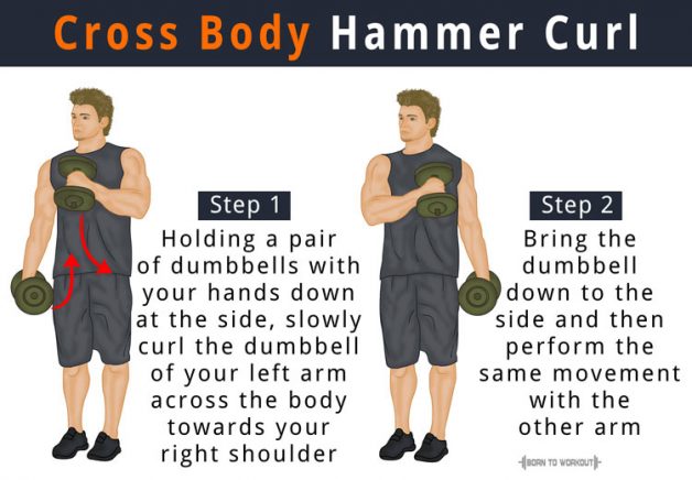 Cross Body Hammer Curl | Born to Workout | Born to Workout