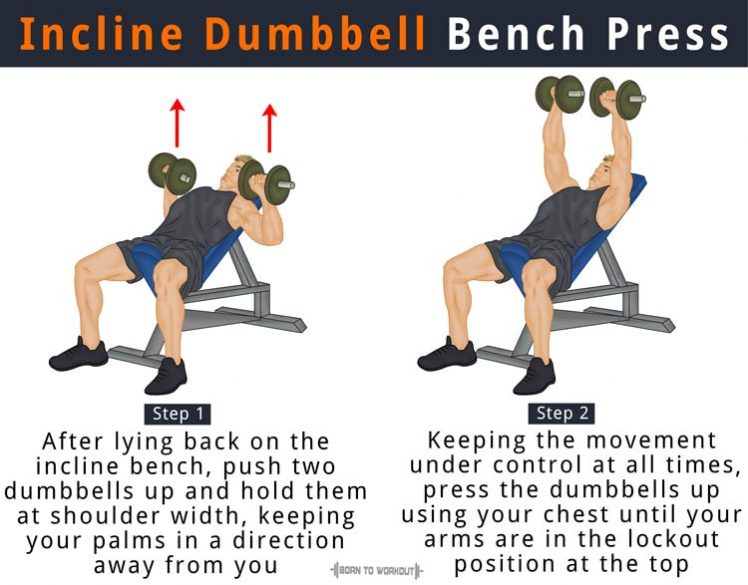 Incline Dumbbell Bench Press | Born to Workout | Born to Workout