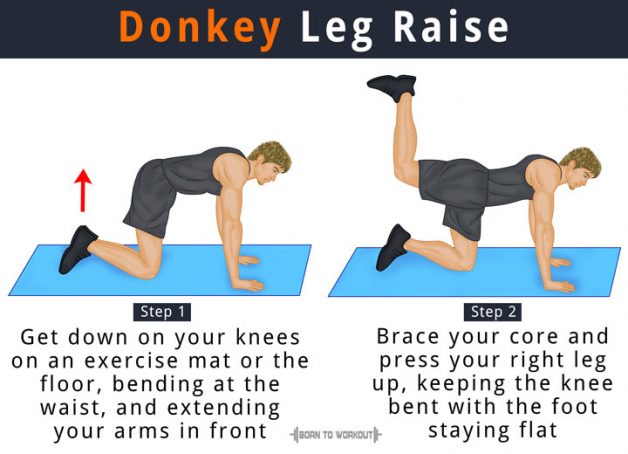 What are Donkey Leg Raises (Donkey Kicks), How to do, Variations