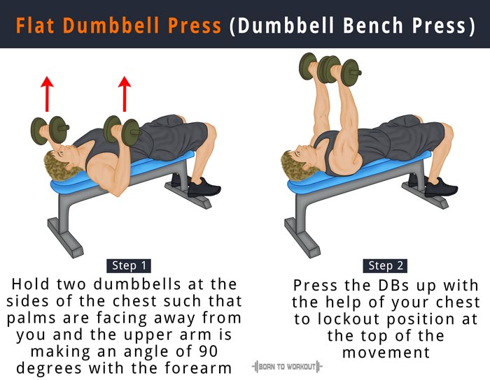 How To Do Flat Dumbbell Press Dumbbell Bench Press