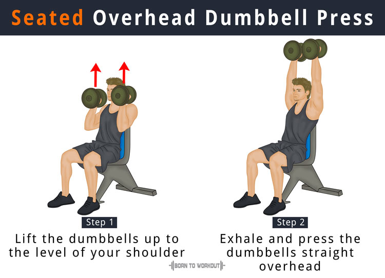 dumbbell overhead press muscles worked