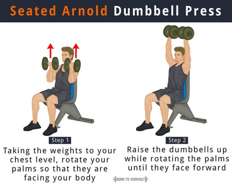 Dumbbell Overhead Press What Is It How To Do Benefits 