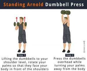 Arnold Dumbbell Press (Arnold Press): What is it, How to do, Form