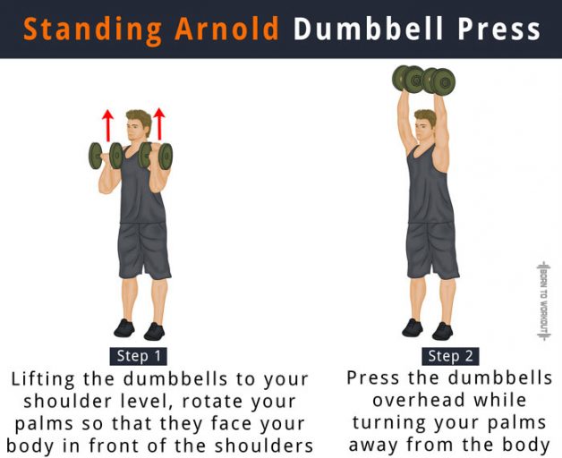 Arnold Dumbbell Press (Arnold Press): What is it, How to do, Form