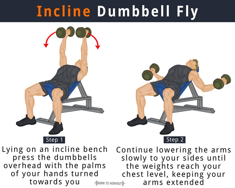 Do you know the difference between flys and press? #gymtip #chestworko